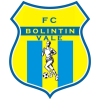 Bolintin Vale