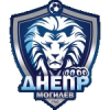 Днепр Могилев