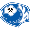 Горник Конин (Пол)