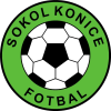 Конице