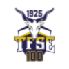TFSE Budapest *