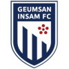 Geumsan Insam