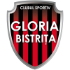 Gloria Bistrita (Ж)