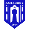 Amesbury Town (Анг)