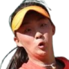 Wang J./Ye Q.