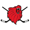 Red Lions Reinach (Шва)