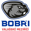 Валашске-Мезиржичи (Чех)