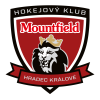 ХК Маунтфилд U20