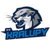 Kralupy (Чех)